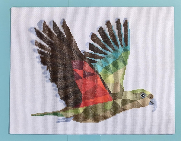 Photo of 'Kea in Flight' finished cross stitch project